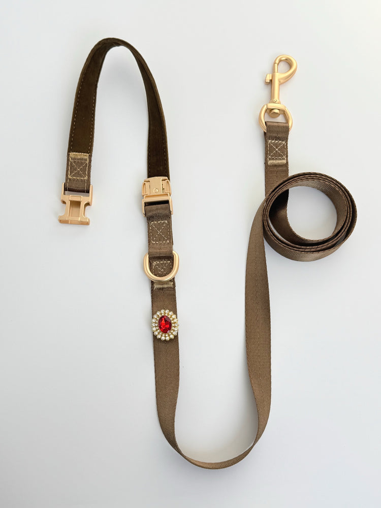 Actual product photograph of the brown interchangeable-accent leash