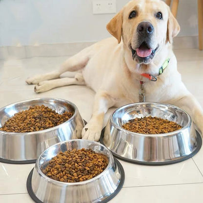 Classic Non-Slip Stainless Steel Pet Bowl - Durable & Easy to Clean