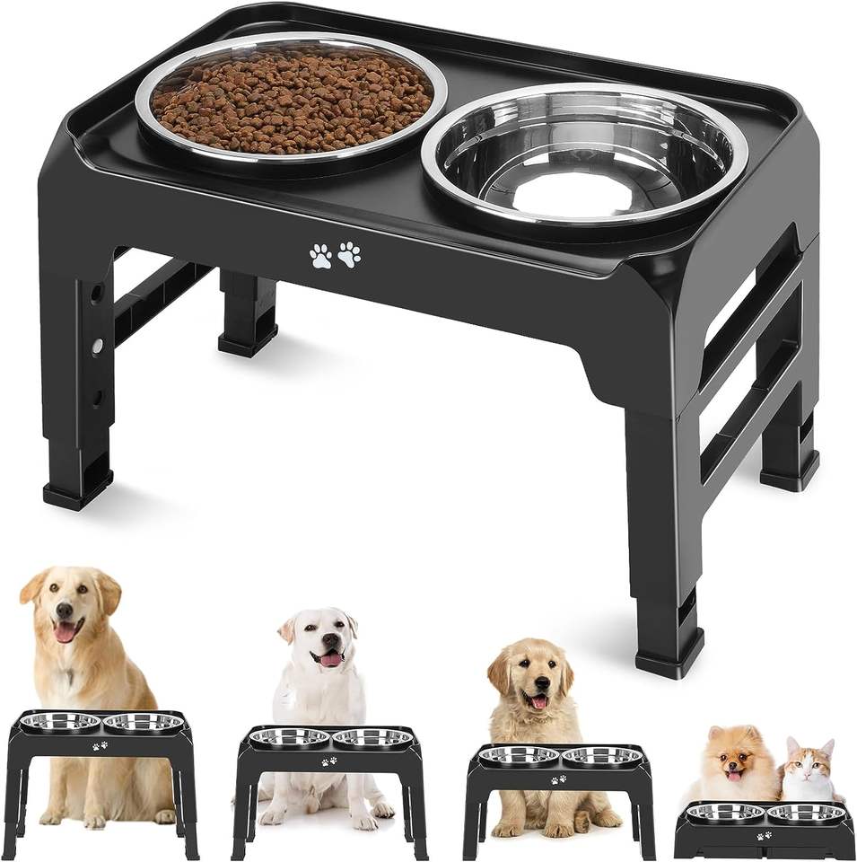 Elevated Stainless Steel Dog Bowl Stand - 10" Raised Feeder (0.85 Gallon)