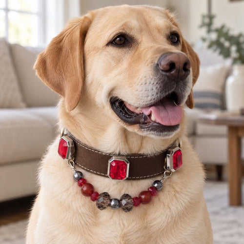 Red gem pet collar — pet wearing illustration