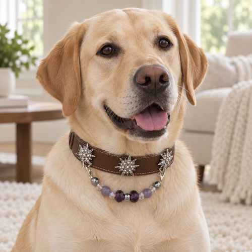 Violet Star pet collar with purple beads and silver-tone star accents — pet wearing illustration