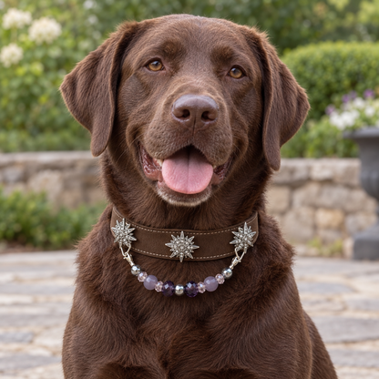 Violet Star pet collar with purple beads and silver-tone star accents — pet wearing illustration